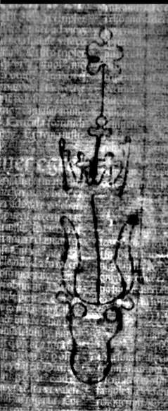 DE5580-2Incca1273_k4
