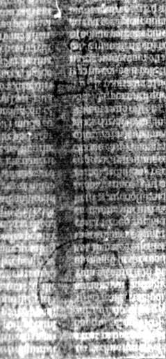 DE5580-2Incca1328_G2