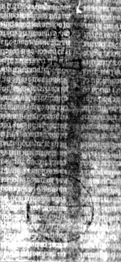 DE5580-2Incca1328_G2