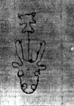 DE5580-2Incca1882-3_DD8