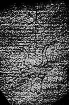 DE4860-Ms541_260