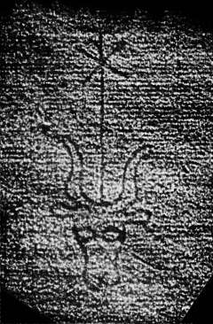 DE4860-Ms541_260
