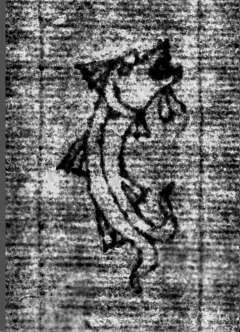 DE0960-Mgf922_29