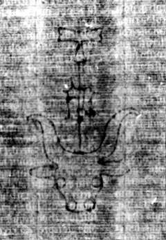 DE5580-2Incca1882-1_k1