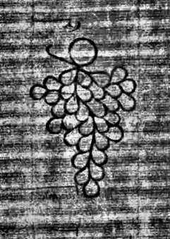 DE0960-Mlf246_235