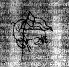 DE5580-2Incca828_e6