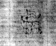 DE5580-2Incca1882-4_kk8