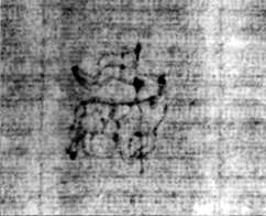 DE5580-2Incca1882-4_kk8