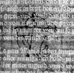 DE5580-2Incca1071g_a8
