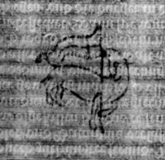 DE5580-2Incca828_o2