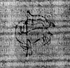 DE5580-2Incca828_o2