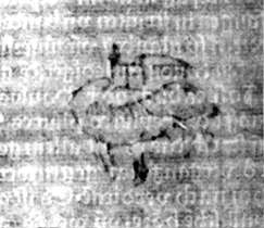 DE5580-2Incca968_s5