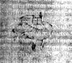 DE5580-2Incca968_s5