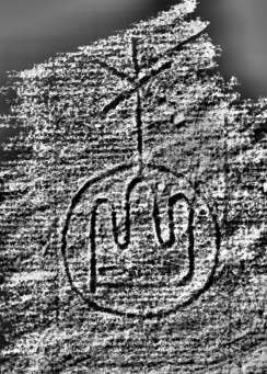 DE0960-Mm80_141