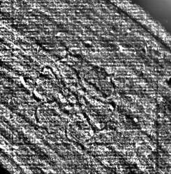 DE0960-Inc2161.2_999a