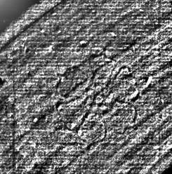DE0960-Inc2161.2_999a
