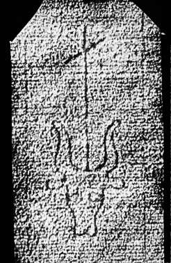 DE4860-Ms551_61