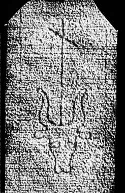 DE4860-Ms551_61