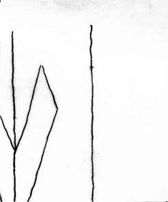 DE5580-Codgraec166_IV