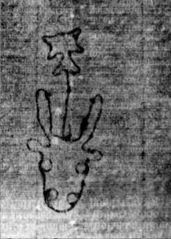 DE5580-2Incca1882-3_FF3