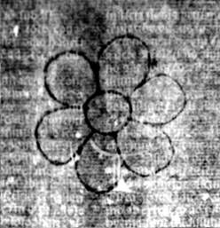 DE5580-2Incca2887a2_Ee2