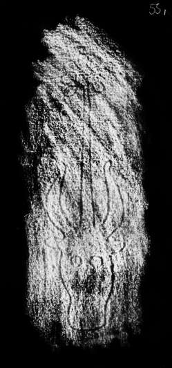 DE4860-Ms548_55