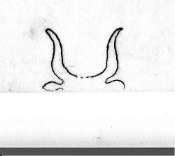 DE5580-Codgraec253_67
