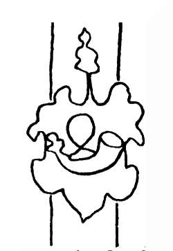DE8100-CodTheol232a_36