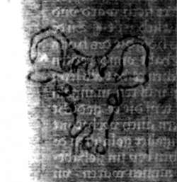 DE5580-2Incca755_Y8
