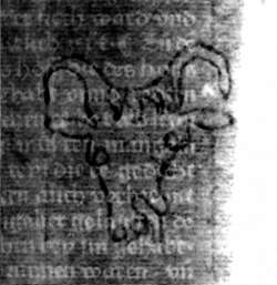DE5580-2Incca755_Y8