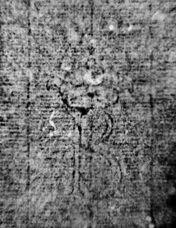 DE0960-Reluzzi2502_13r