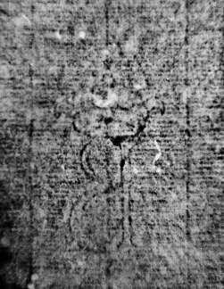 DE0960-Reluzzi2502_13r