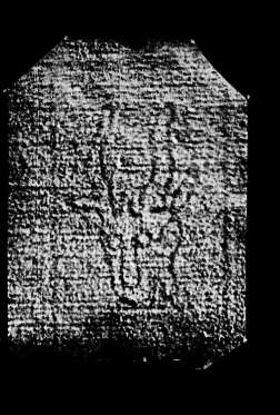 DE4860-Ms551_15