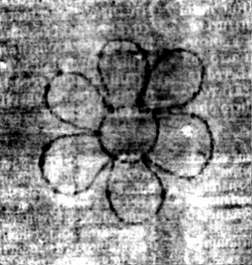 DE5580-2Incca2036_f5