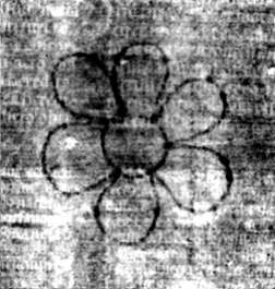 DE5580-2Incca2036_f5