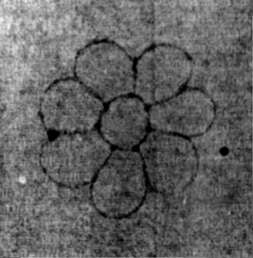 DE5580-2Incca1022_b5