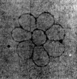 DE5580-2Incca1022_b5