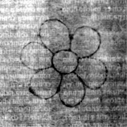 DE5580-2Incca2869_b4