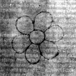 DE5580-2Incca2869_b4
