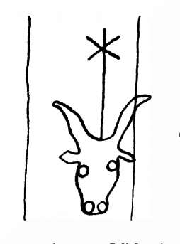 DE8100-IncFol10471_999m