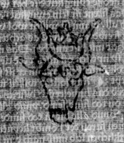 DE5580-2Incca755_i5
