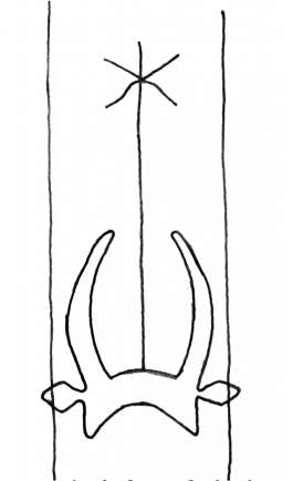 DE4860-Ms591_hds