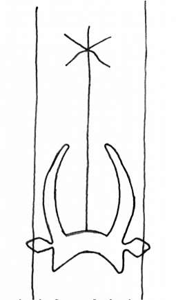 DE4860-Ms591_hds