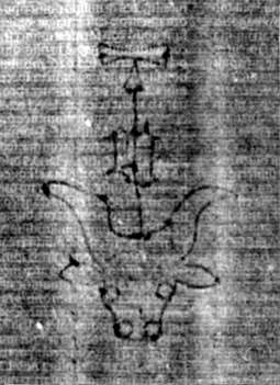 DE5580-2Incca1882-1_a5