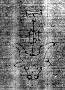 DE5580-2Incca1882-1_a5