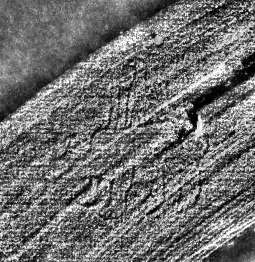 DE0960-4Inc1150.5_999d