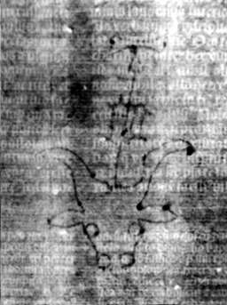 DE5580-2Incca1882-1_b4