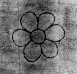 DE5580-2Incca1772_a1