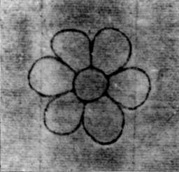 DE5580-2Incca1772_a1