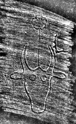 DE0960-Mm89_19